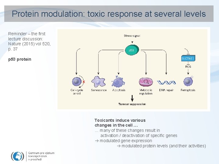 Protein modulation: toxic response at several levels Reminder – the first lecture discussion: Nature