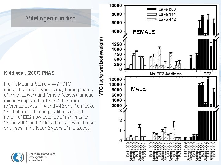 Vitellogenin in fish FEMALE Kidd et al. (2007) PNAS Fig. 1. Mean ± SE