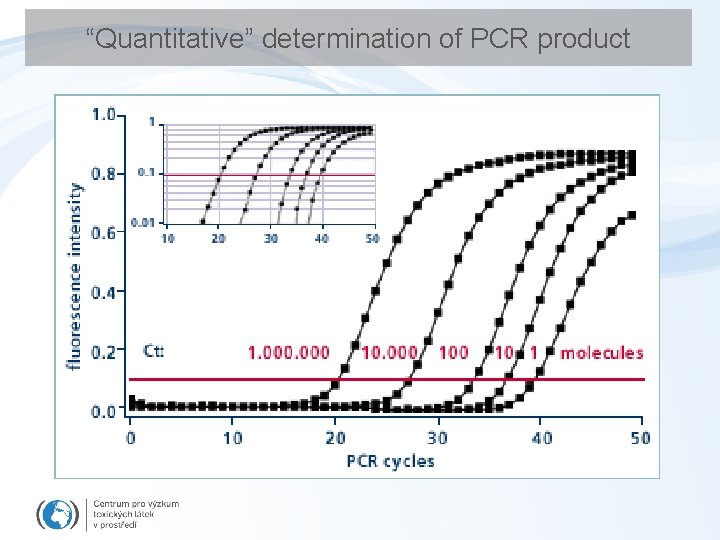 “Quantitative” determination of PCR product 