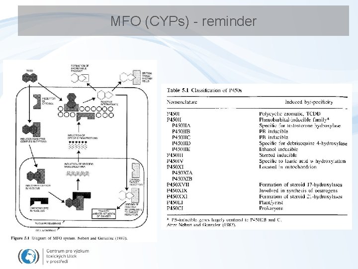 MFO (CYPs) - reminder 
