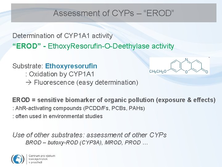 Assessment of CYPs – “EROD” Determination of CYP 1 A 1 activity “EROD” -