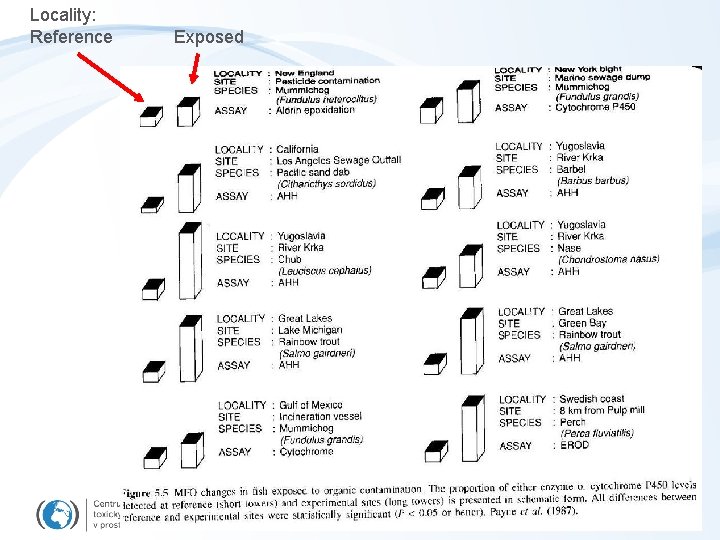Locality: Reference Exposed 