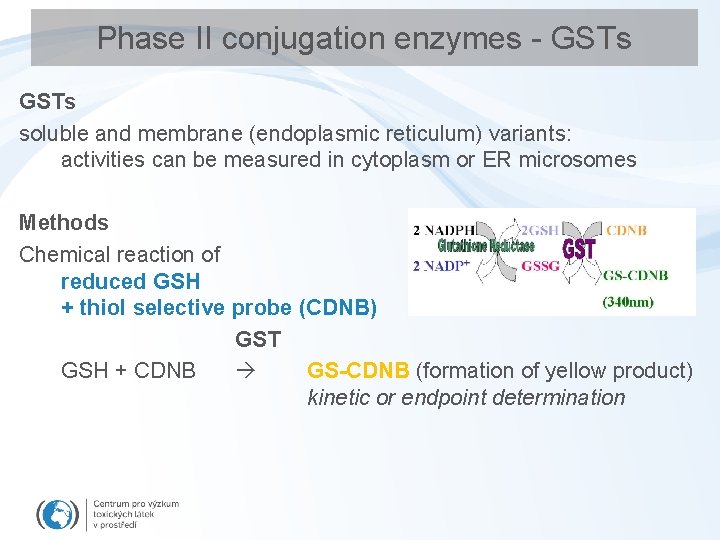 Phase II conjugation enzymes - GSTs soluble and membrane (endoplasmic reticulum) variants: activities can