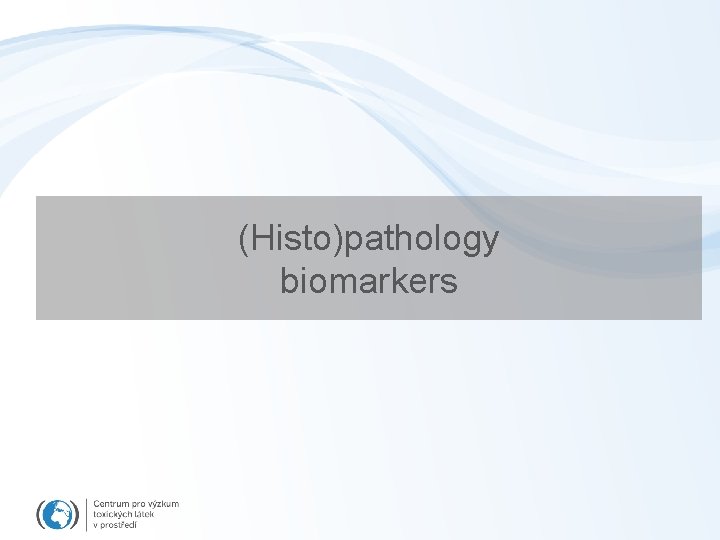 (Histo)pathology biomarkers 