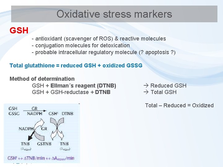 Oxidative stress markers GSH - antioxidant (scavenger of ROS) & reactive molecules - conjugation