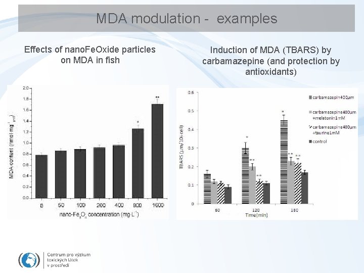 MDA modulation - examples Effects of nano. Fe. Oxide particles on MDA in fish
