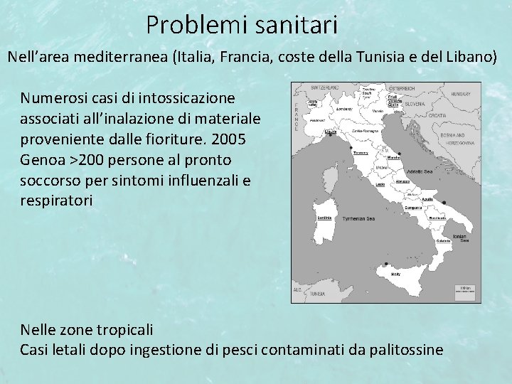 Problemi sanitari Nell’area mediterranea (Italia, Francia, coste della Tunisia e del Libano) Numerosi casi