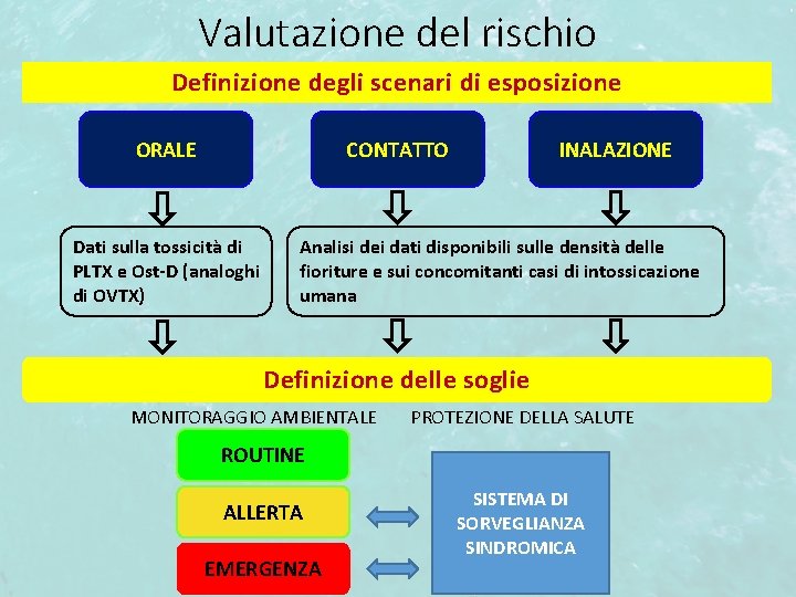 Valutazione del rischio Definizione degli scenari di esposizione ORALE CONTATTO Dati sulla tossicità di