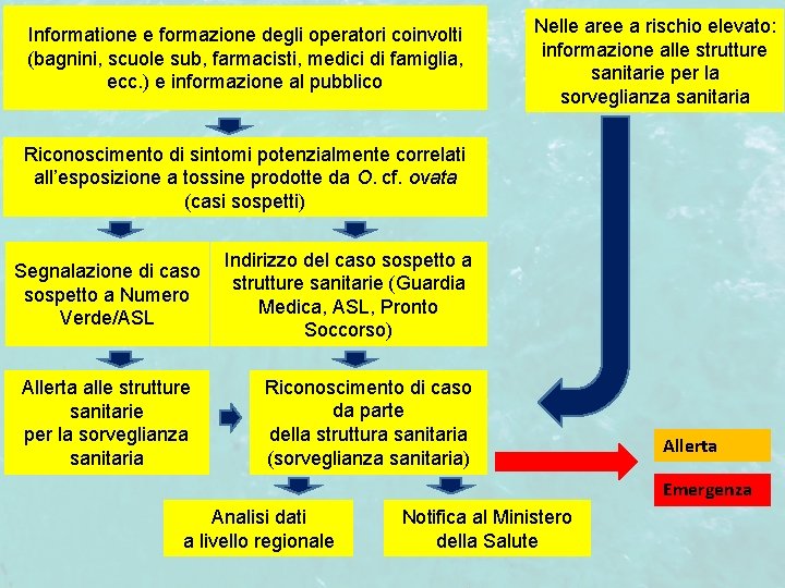 Informatione e formazione degli operatori coinvolti (bagnini, scuole sub, farmacisti, medici di famiglia, ecc.