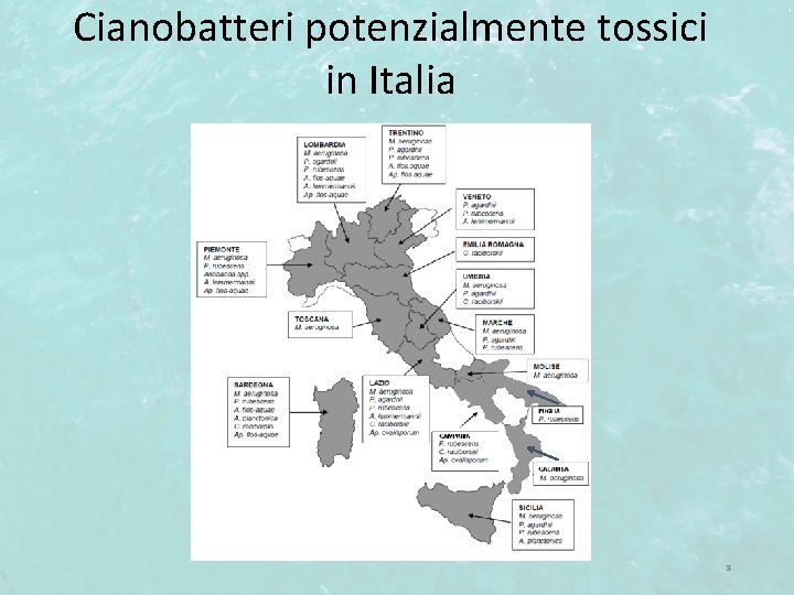 Cianobatteri potenzialmente tossici in Italia 8 