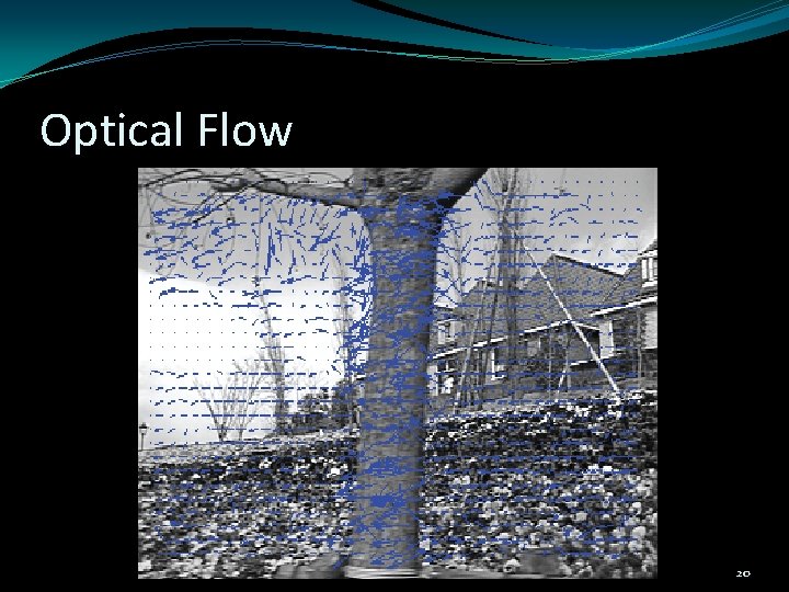 Optical Flow 20 