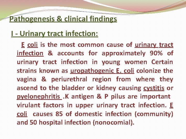 Pathogenesis & clinical findings I - Urinary tract infection: E coli is the most