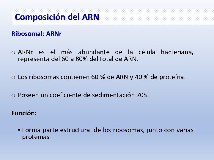 Composición del ARN Ribosomal: ARNr o ARNr es el más abundante de la célula