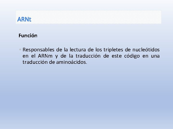 ARNt Función • Responsables de la lectura de los tripletes de nucleótidos en el