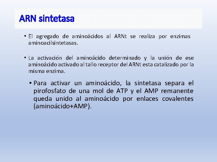 ARN sintetasa • El agregado de aminoácidos al ARNt se realiza por enzimas aminoacilsintetasas.