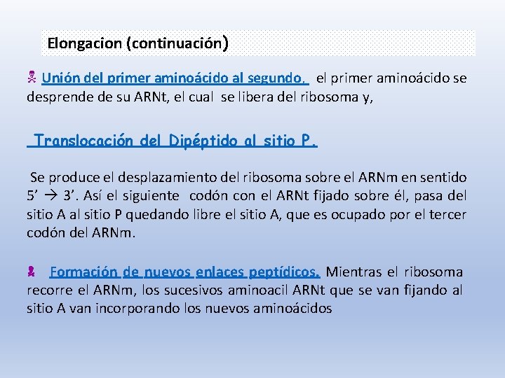 Elongacion (continuación) Unión del primer aminoácido al segundo, el primer aminoácido se desprende de