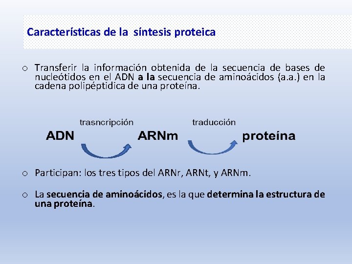 Características de la síntesis proteica o Transferir la información obtenida de la secuencia de