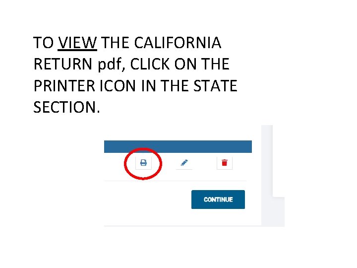 TO VIEW THE CALIFORNIA RETURN pdf, CLICK ON THE PRINTER ICON IN THE STATE