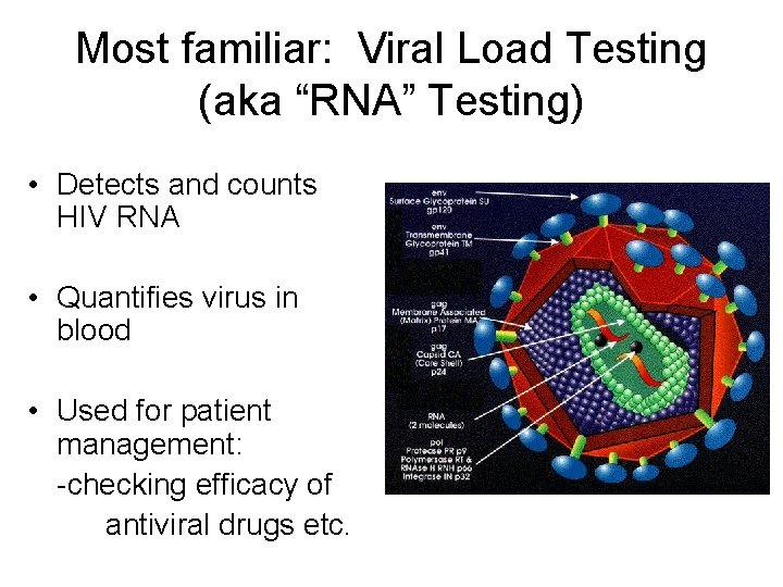 Most familiar: Viral Load Testing (aka “RNA” Testing) • Detects and counts HIV RNA