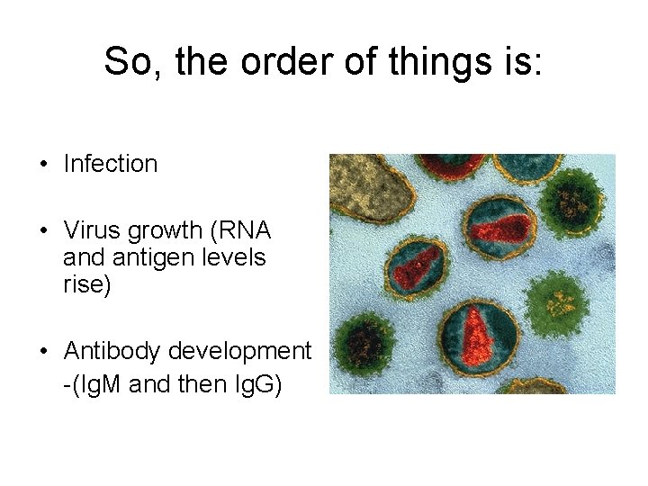 So, the order of things is: • Infection • Virus growth (RNA and antigen