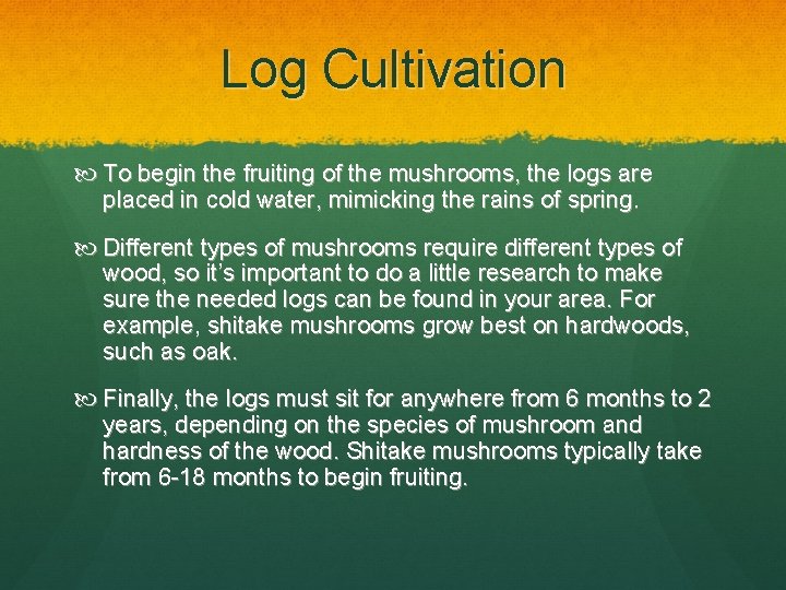 Log Cultivation To begin the fruiting of the mushrooms, the logs are placed in