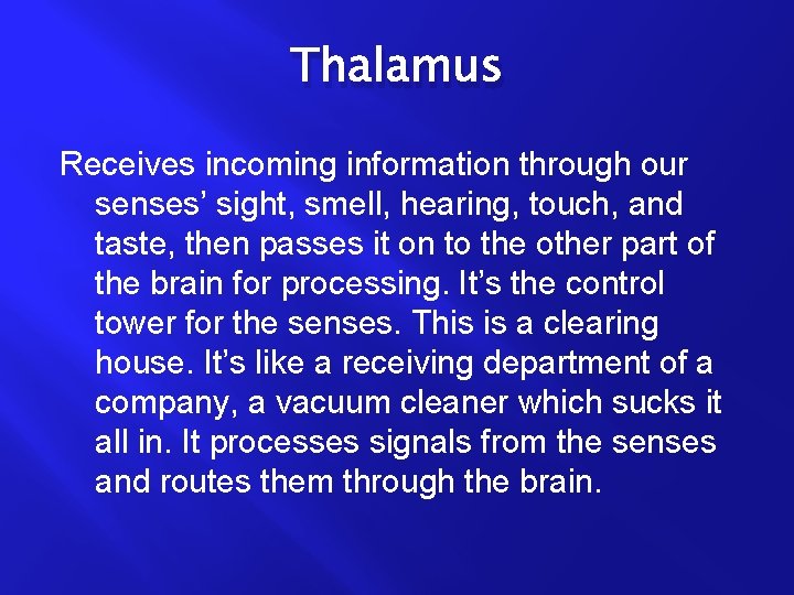 Thalamus Receives incoming information through our senses’ sight, smell, hearing, touch, and taste, then