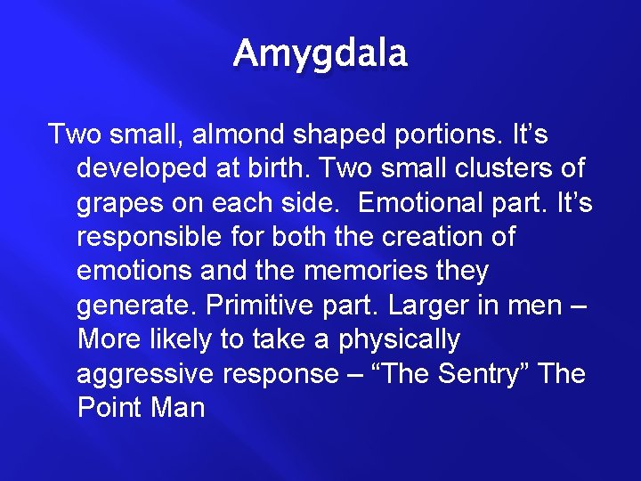 Amygdala Two small, almond shaped portions. It’s developed at birth. Two small clusters of