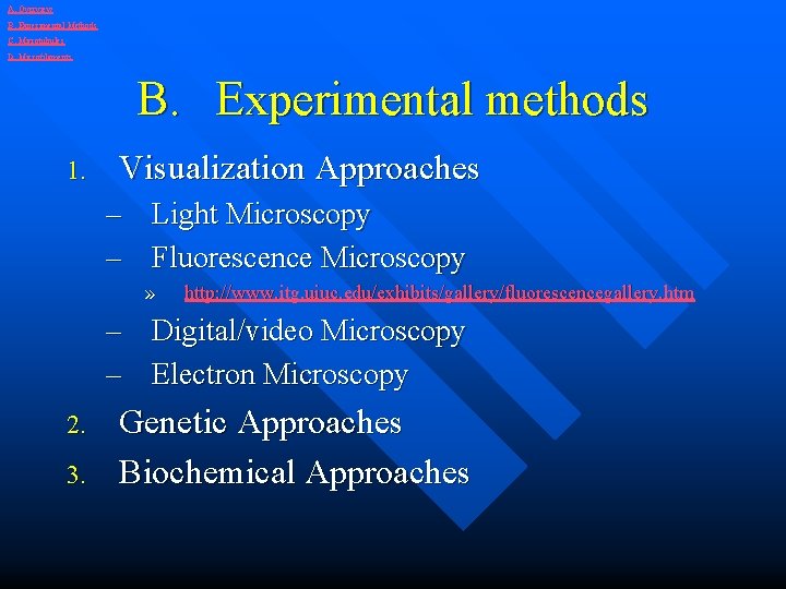 A. Overview B. Experimental Methods C. Microtubules D. Microfilaments B. Experimental methods 1. Visualization
