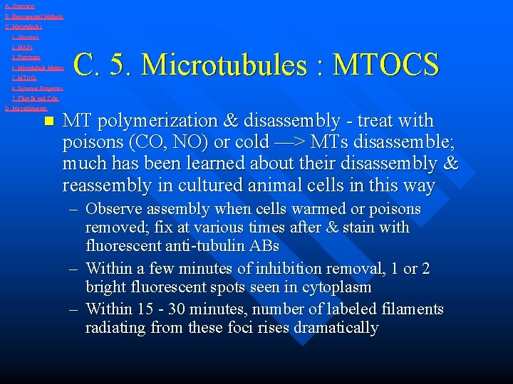 A. Overview B. Experimental Methods C. Microtubules 1. Structure 2. MAPs 3. Functions 4.