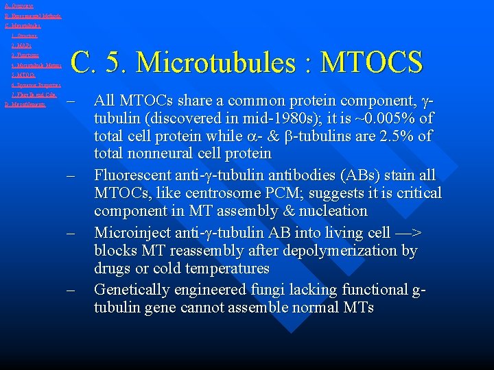 A. Overview B. Experimental Methods C. Microtubules 1. Structure 2. MAPs 3. Functions 4.