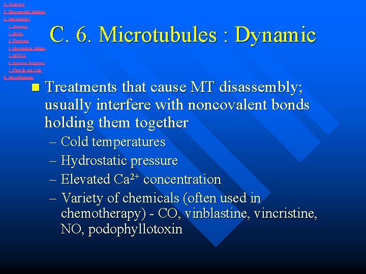 A. Overview B. Experimental Methods C. Microtubules 1. Structure 2. MAPs 3. Functions 4.