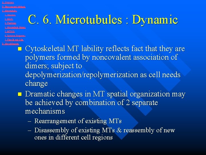 A. Overview B. Experimental Methods C. Microtubules 1. Structure 2. MAPs 3. Functions 4.