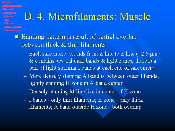 A. Overview B. Experimental Methods C. Microtubules D. 4. Microfilaments: Muscle D. Microfilaments 1.