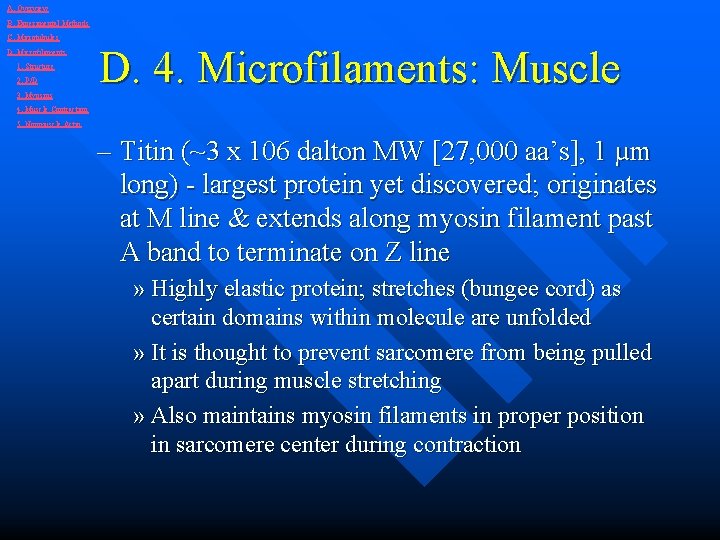 A. Overview B. Experimental Methods C. Microtubules D. Microfilaments 1. Structure 2. P/D 3.