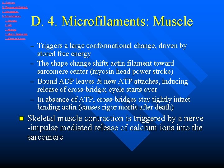 A. Overview B. Experimental Methods C. Microtubules D. 4. Microfilaments: Muscle D. Microfilaments 1.