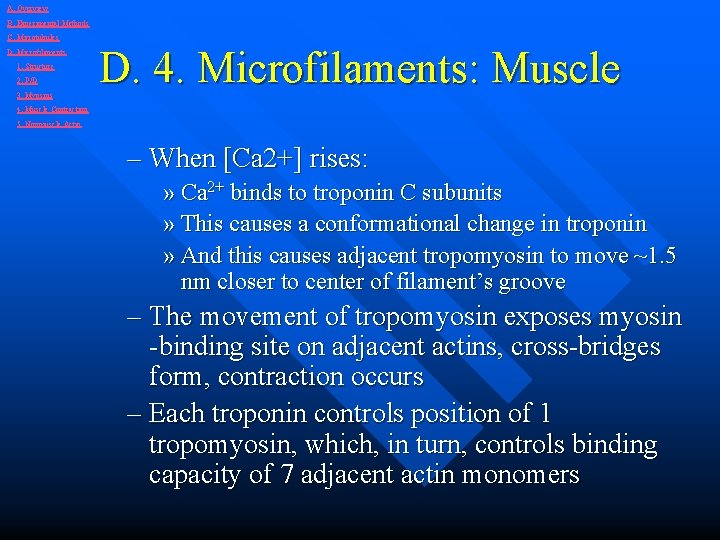 A. Overview B. Experimental Methods C. Microtubules D. Microfilaments 1. Structure 2. P/D 3.