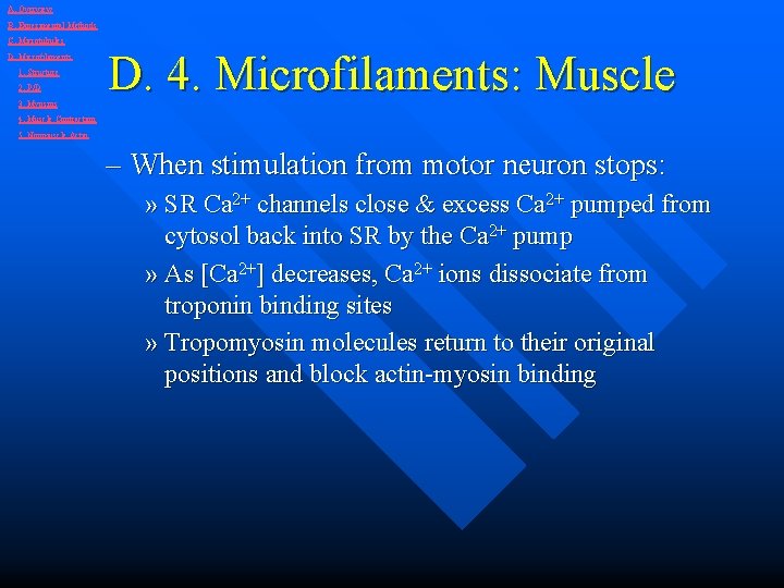 A. Overview B. Experimental Methods C. Microtubules D. Microfilaments 1. Structure 2. P/D 3.