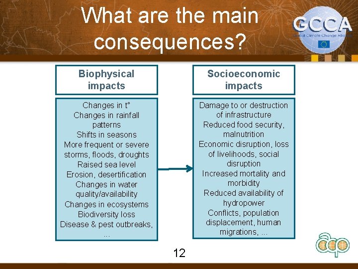 What are the main consequences? Biophysical impacts Socioeconomic impacts Changes in t° Changes in