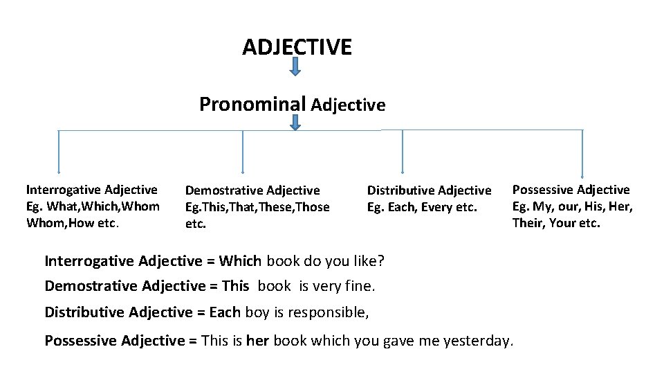 ADJECTIVE Pronominal Adjective Interrogative Adjective Eg. What, Which, Whom, How etc. Demostrative Adjective Eg.