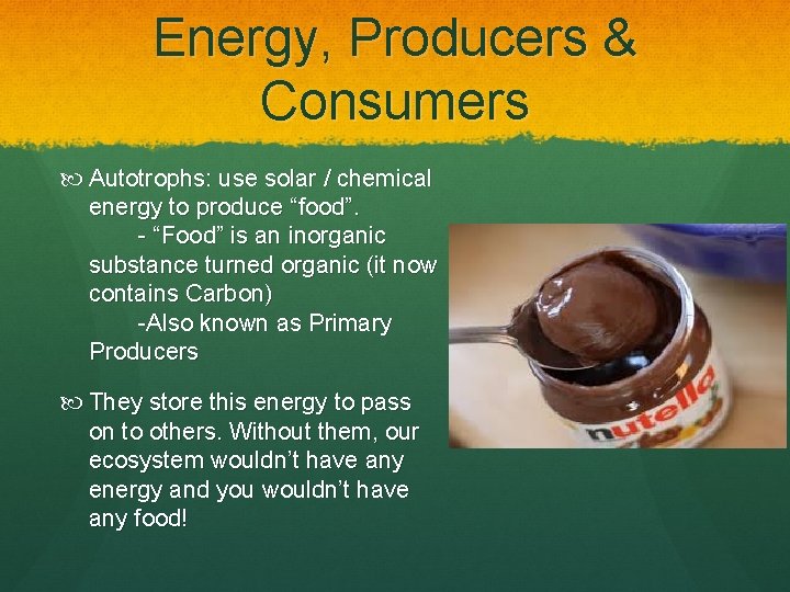 Energy, Producers & Consumers Autotrophs: use solar / chemical energy to produce “food”. -