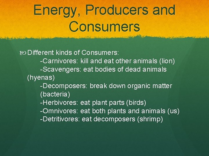Energy, Producers and Consumers Different kinds of Consumers: -Carnivores: kill and eat other animals