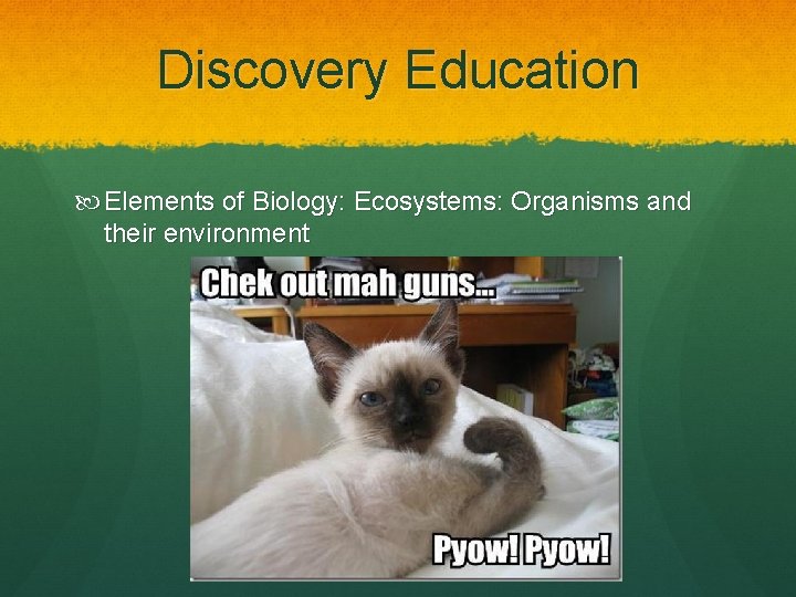 Discovery Education Elements of Biology: Ecosystems: Organisms and their environment 