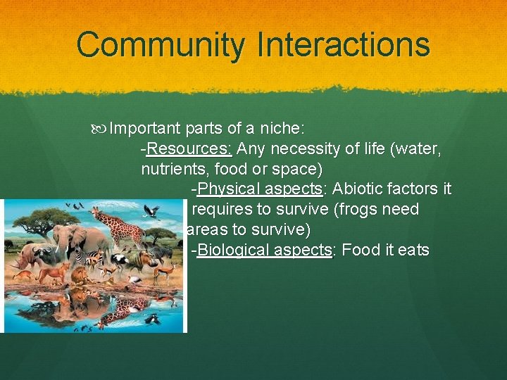 Community Interactions Important parts of a niche: -Resources: Any necessity of life (water, nutrients,