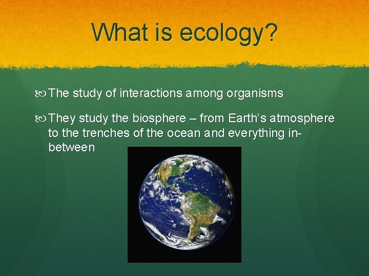 What is ecology? The study of interactions among organisms They study the biosphere –