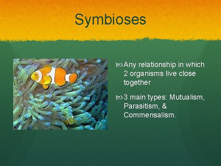 Symbioses Any relationship in which 2 organisms live close together 3 main types: Mutualism,