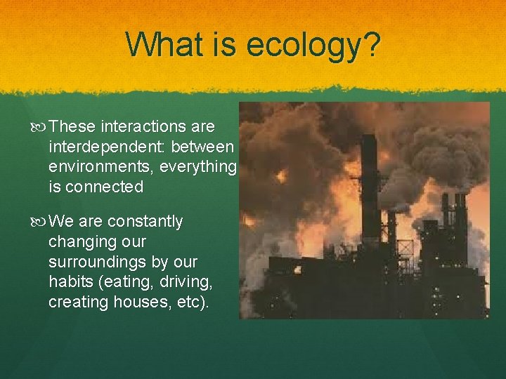 What is ecology? These interactions are interdependent: between environments, everything is connected We are