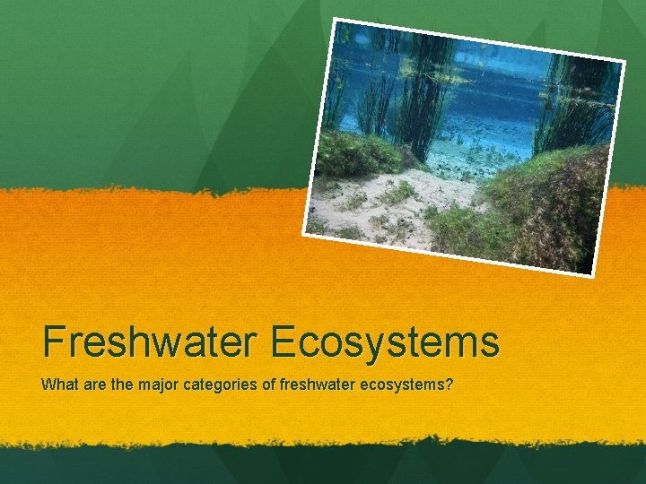 Freshwater Ecosystems What are the major categories of freshwater ecosystems? 