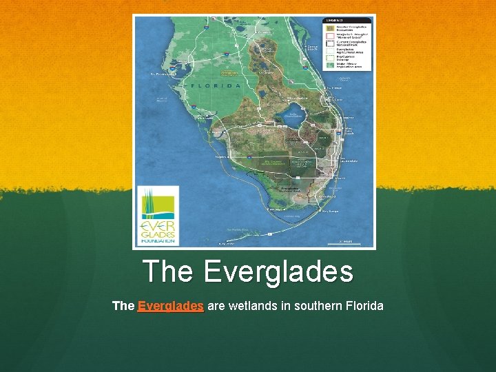The Everglades are wetlands in southern Florida 