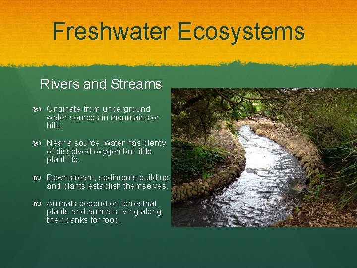 Freshwater Ecosystems Rivers and Streams Originate from underground water sources in mountains or hills.