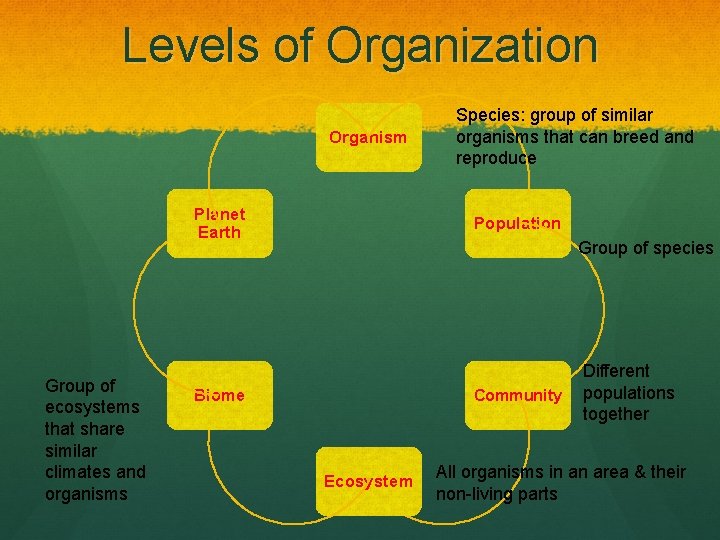 Levels of Organization Organism Planet Earth Group of ecosystems that share similar climates and